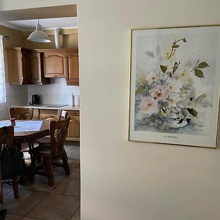 Apartamenty Jaskinia Solna Ruda Slaska Ngoại thất bức ảnh
